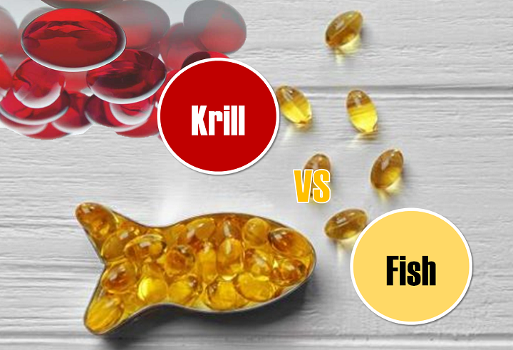 Έλαια Krill ή Ιχθυέλαια; Ποια είναι τα πιο υγιεινά;