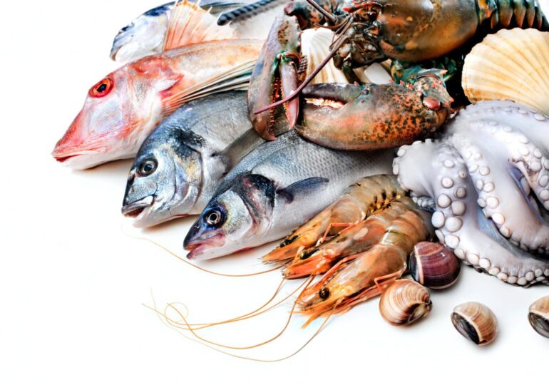 Ψάρια ιχθυοκαλλιέργειας και ψάρια ελεύθερης αλιείας