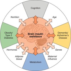 Αντίσταση στην ινσουλίνη και Άνοια